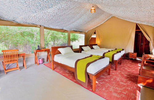 Maasai Mara Complejo | Mtito Safari Camp