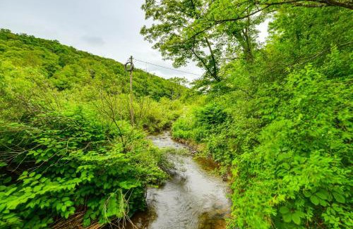 Long Eddy Casa | Mtn-View Deck and Grill Creekside Catskills Cabin!