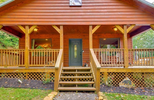 Woodlawn Cabina | Mtn View + Fire Pit: Pet-Friendly Woodlawn Cabin!