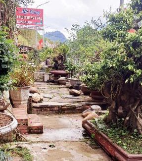 Mu Cang Chai Hotel | Mu Cang Homestay