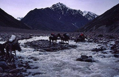 Sarchu Alquiler De RV | Mulkila Adventures - Campsite