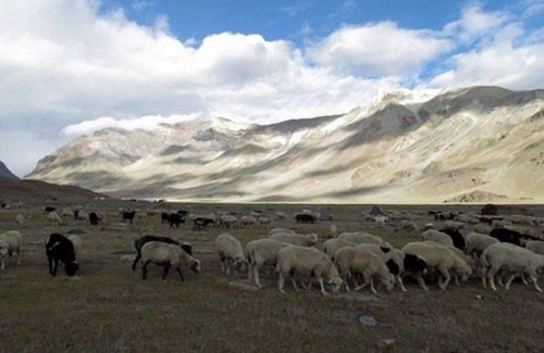 Sarchu Alquiler De RV | Mulkila Adventures - Campsite