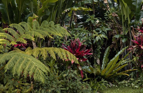 Mullumbimby Casa | Mullum Muse, a magical place that connects you back to nature.