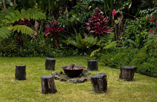 Mullumbimby Casa | Mullum Muse, a magical place that connects you back to nature.