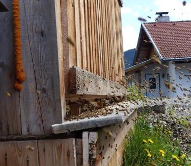 Nikolsdorf Apartamento | Multererhof