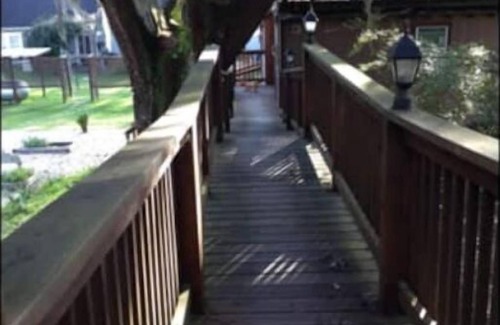 Bogalusa Cabina | Multi level Swiss family Robinson Treehouse