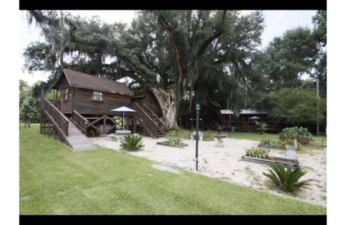 Bogalusa Cabina | Multi level Swiss family Robinson Treehouse