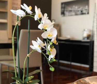 Tudela Apartamento | Mundo-Abeona