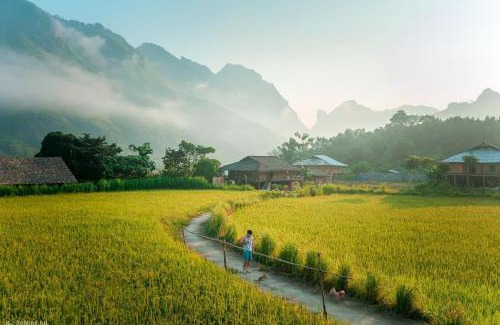 Yen Minh Casa | Muong Tra Stream Homestay