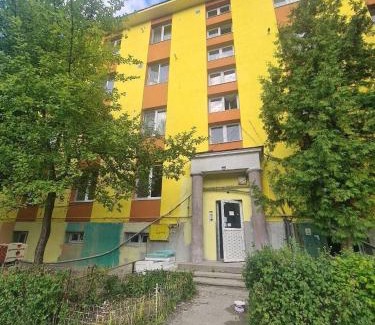 Petrosani Apartamento | Mural Art Apartament