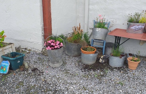 Ballyduff Cabaña | Murphy's Irish Farmhouse Near Ballybunion
