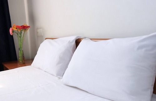 Erebuni Hotel | Musa Ler Hotel Yerevan