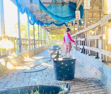Jana Casa | Muumin Farm