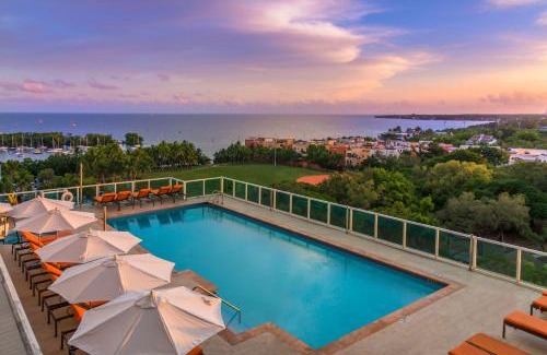 Coconut Grove Apartamento | MVR-Tired of Hotels This Stay Breaks the Mold