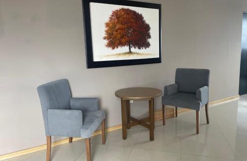 Celaya Hotel | My Home Suites