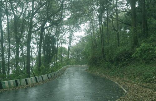 Darjeeling Casa | My Homestay