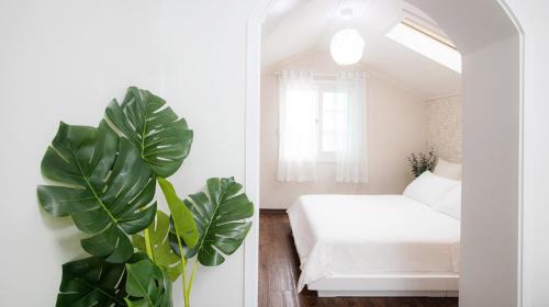 Nam Casa | My Sea Pension