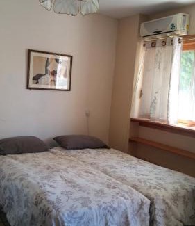 Artists Colony Cama Y Desayuno | Myrtle the Turtle Guesthouse