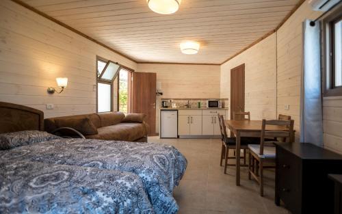 Artists Colony Cama Y Desayuno | Myrtle the Turtle Guesthouse