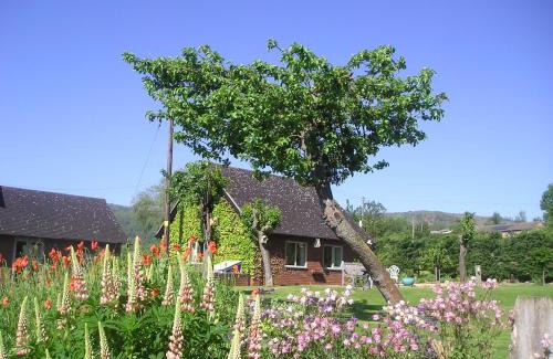 Castlemorton Apartamento | Myrtleberry Studio BnB
