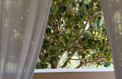 Dhrakata Apartamento | Myrtos Cottages Terpsihore