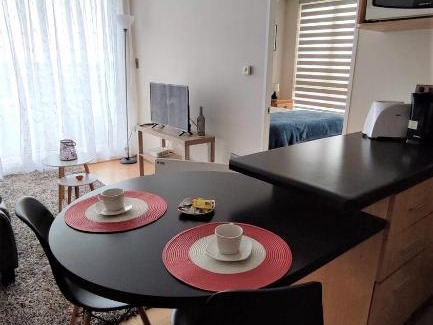 Concepcion Apartamento | MYS AMOBLADOS SpA PARQUE URBANO