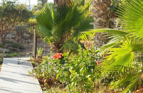 El Pescadero Apartamento | Mystic Breeze