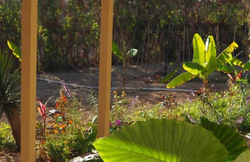 El Pescadero Apartamento | Mystic Breeze