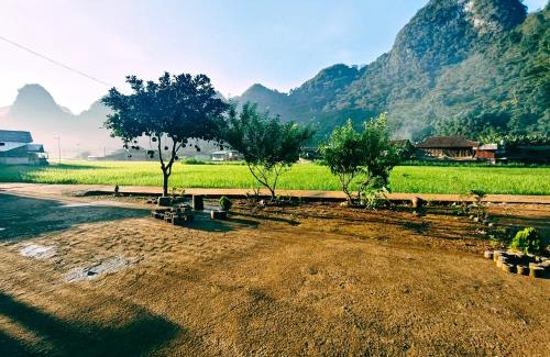 Quang Uyen Chalet De Esquí | Nùng An homestay