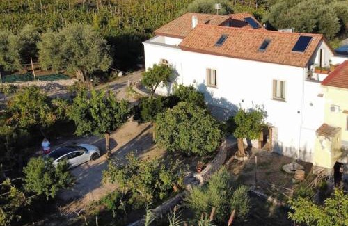 Piazza Roma Casa | N'haidea - AgriFarm e B&B