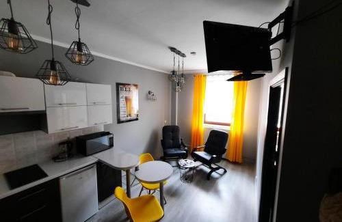 Zywiec Apartamento | Na Starówce 2