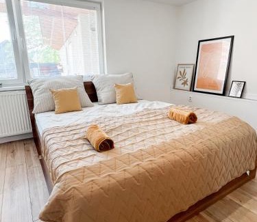 Tisovec Apartamento | Nadštandardný apartmán s terasou