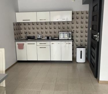 Zywiec Apartamento | Nad jeziorem