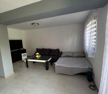 Zywiec Apartamento | Nad jeziorem