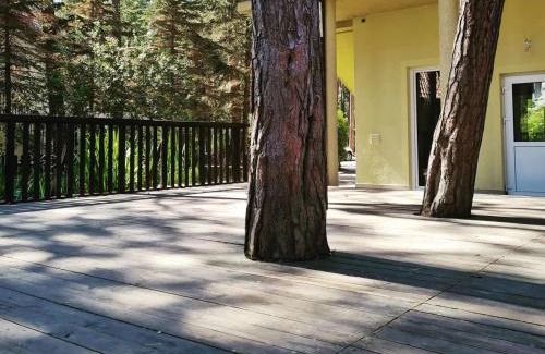Pobierowo Apartamento | Nadmorski apartament Rybitwa 7