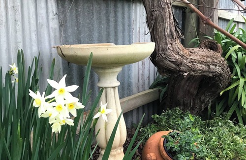 Penola Cabaña | Air's Cottage Penola: Delightful colonial stone cottage, WiFi fire AC Spa BBQ