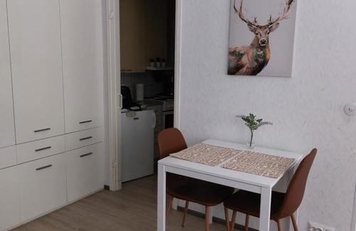Virrat Apartamento | Nallenkoto