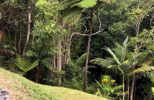 Nambucca Heads Apartamento | Nambucca Rainforest Retreat. Secluded, Walkable