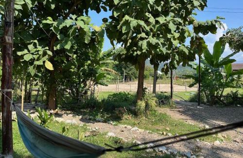 Luang Prabang Otro | NamKhan Horses Stables