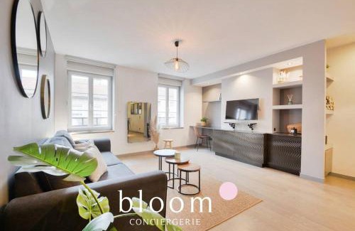 Poincare - Foch - Anatole France - Croix de Bourgogne Apartamento | Nancy : Superbe F3 80m2 Centre Gare 6 Voyageurs