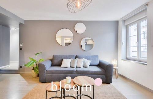 Poincare - Foch - Anatole France - Croix de Bourgogne Apartamento | Nancy : Superbe F3 80m2 Centre Gare 6 Voyageurs