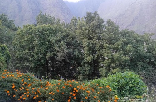 Gobind Dham Casa | Nanda devi