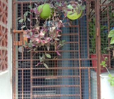 Santiniketan Casa | Nandini Santiniketan Homestay
