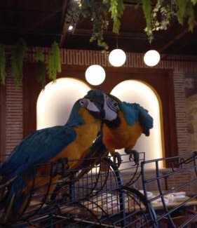 Petrele Casa | Nano Bio Food Farm