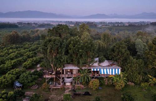 Phrao Casa | Napahong Treehouse นาป่าฮง