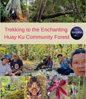 Phrao Otro | Napahong Treehouse forest camp