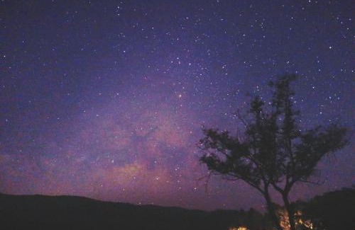 Phrao Otro | Napahong Treehouse forest camp