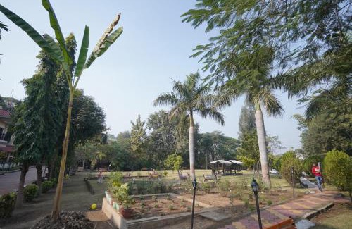 Jabalpur Complejo | Narmada vatika