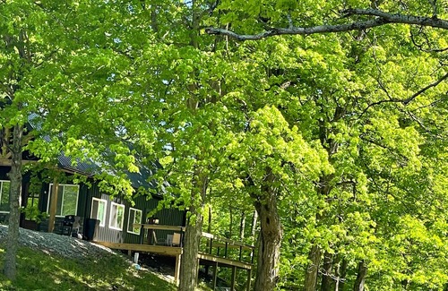 Clarkson Cabina | Nash’s cabin in Leitchfield that is Pet Friendly, WIFI, w/ Creek.