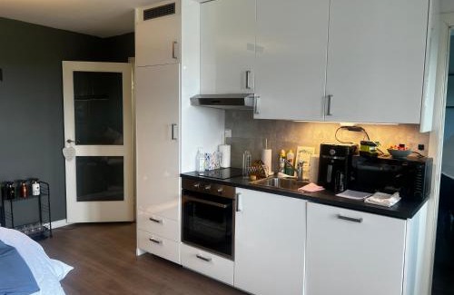 Oslo Apartamento | Naskolini Top premium apartments